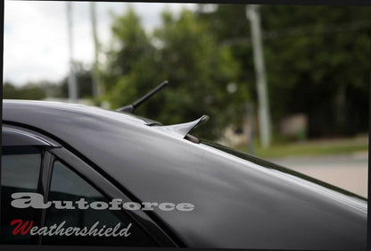 Lexus IS200/IS300/IS330 Rear Roof Spoiler 1998-2005, Stylish Durable