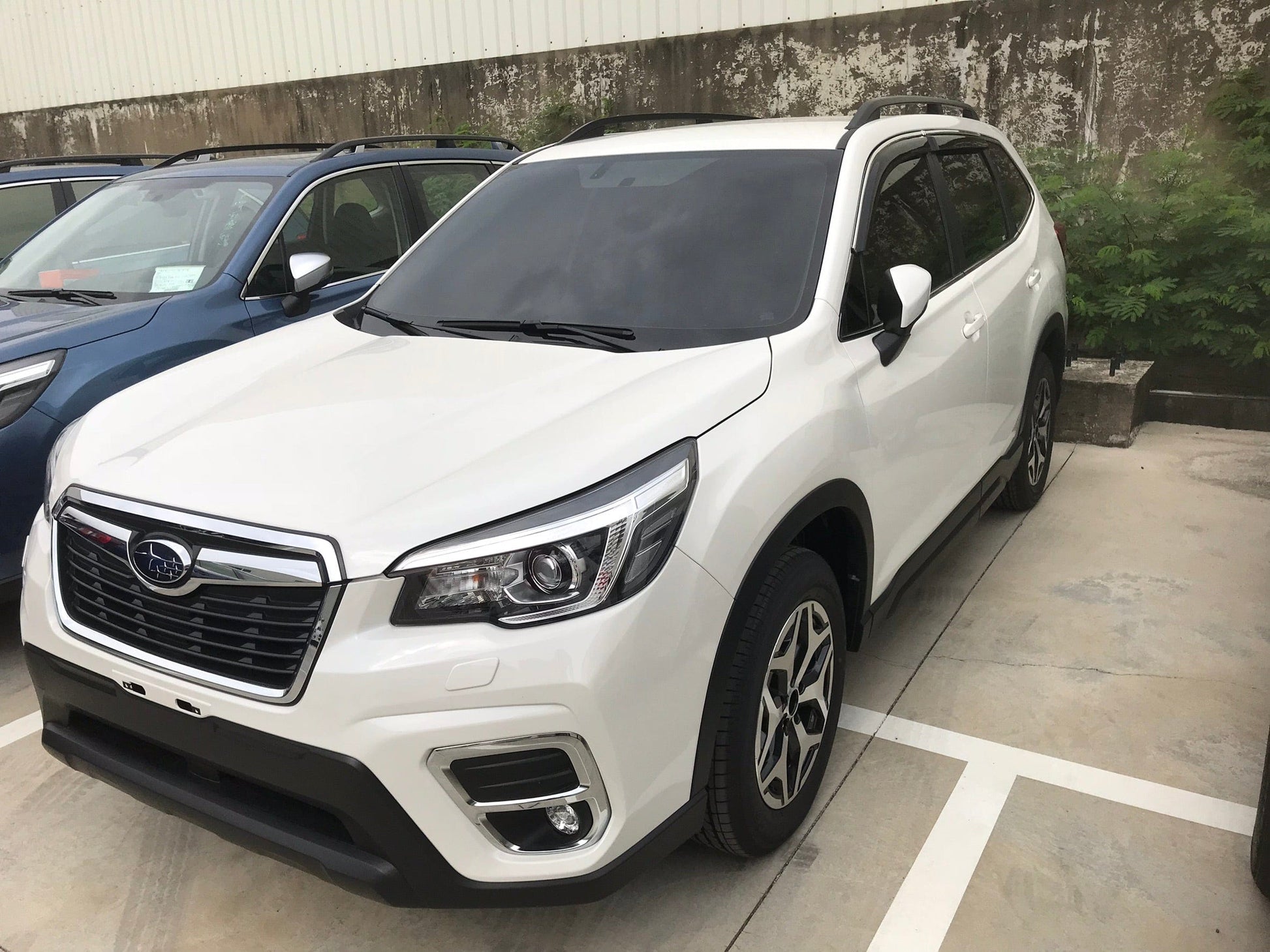 Installed view -  Subaru Forester SK Weather Shields 2018-On - HIC Premium